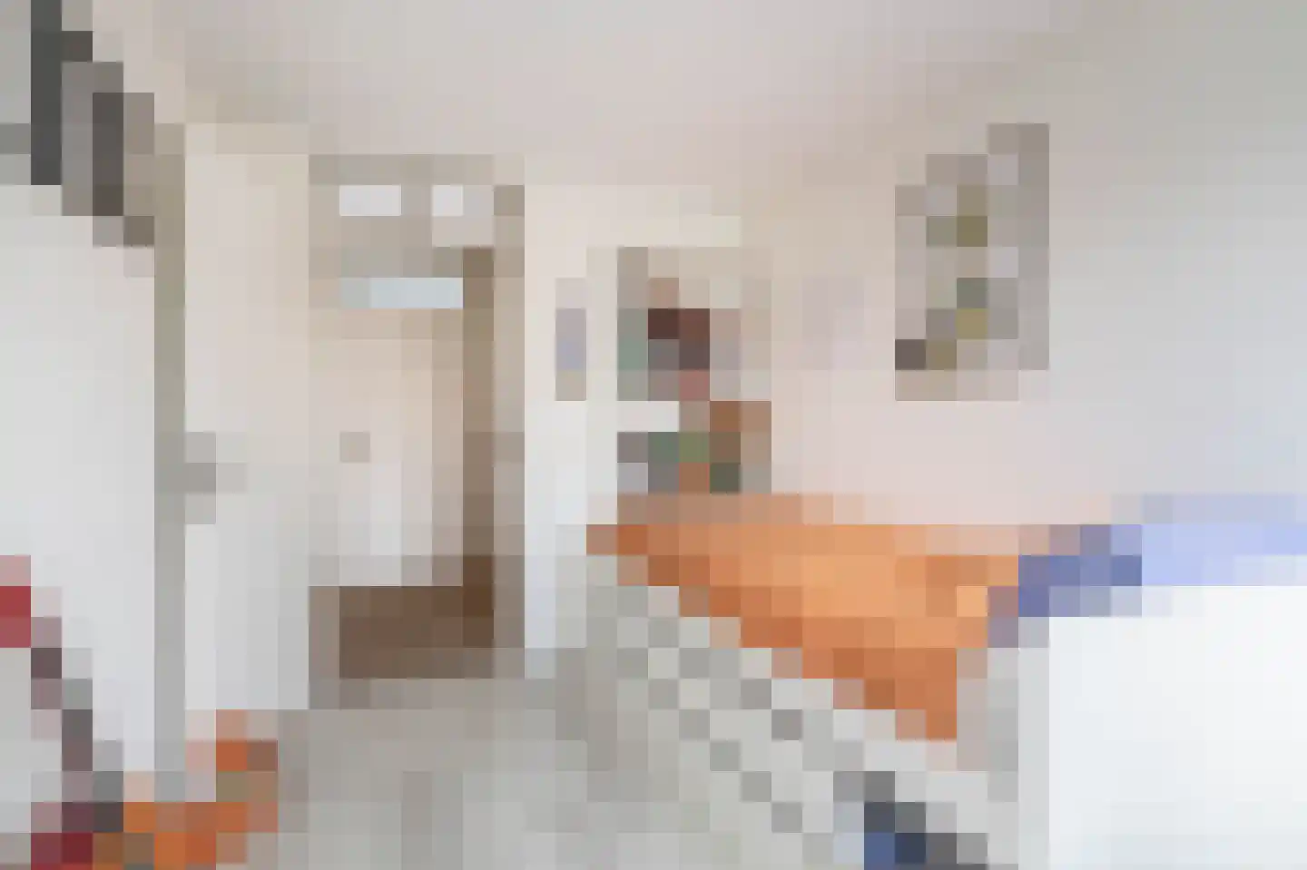 Parkroos 68 Rotterdam thumbnail 28