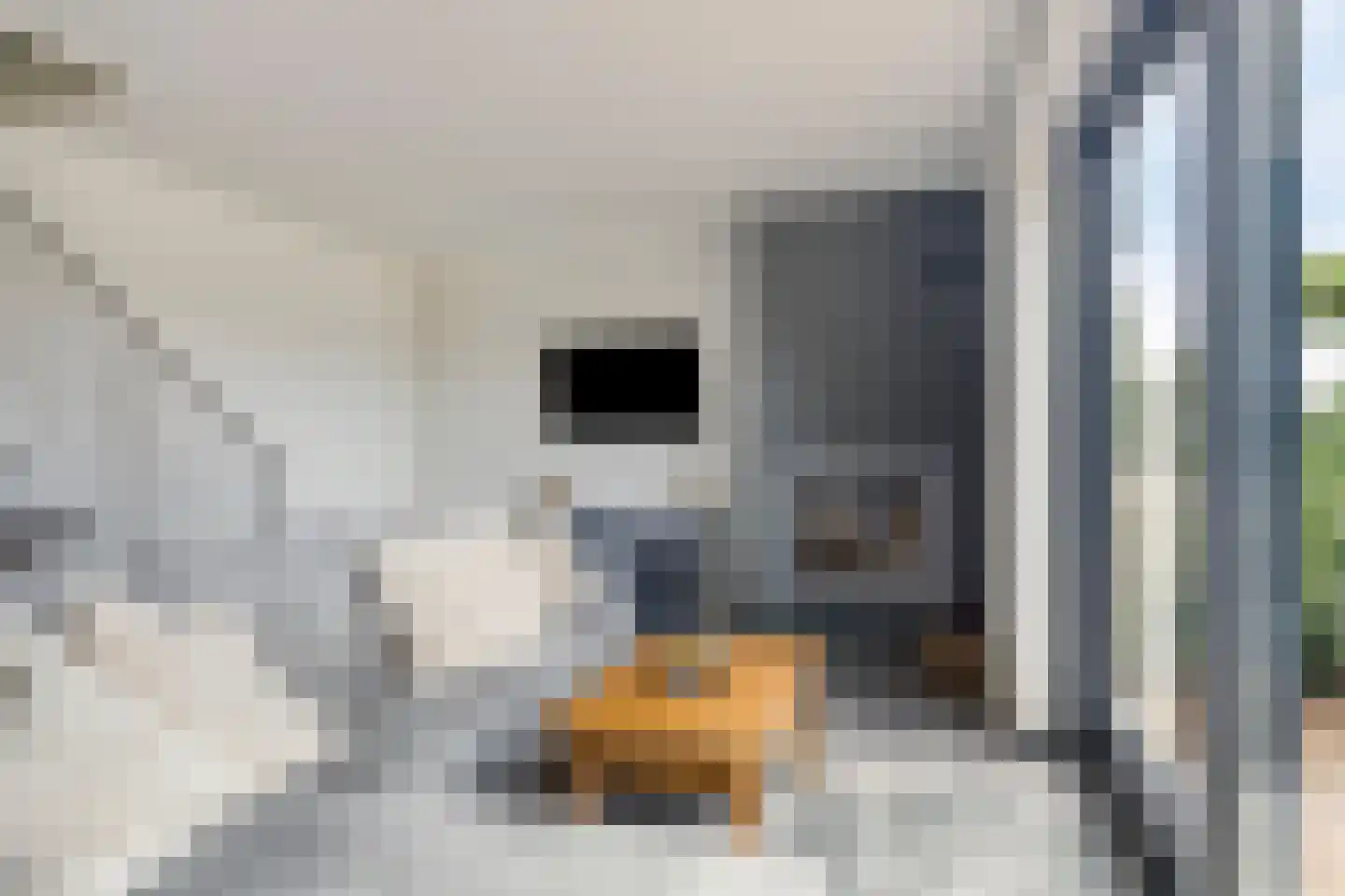 Parksesteeg 4 Overasselt thumbnail 11
