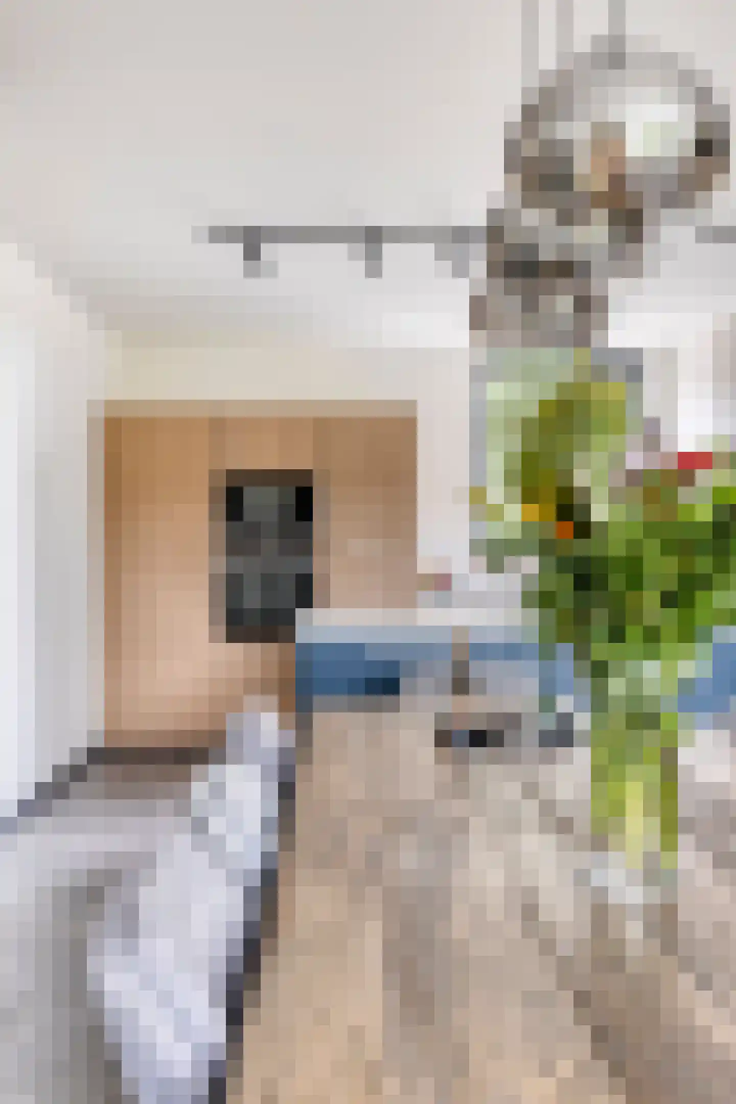 Parksesteeg 4 Overasselt thumbnail 14