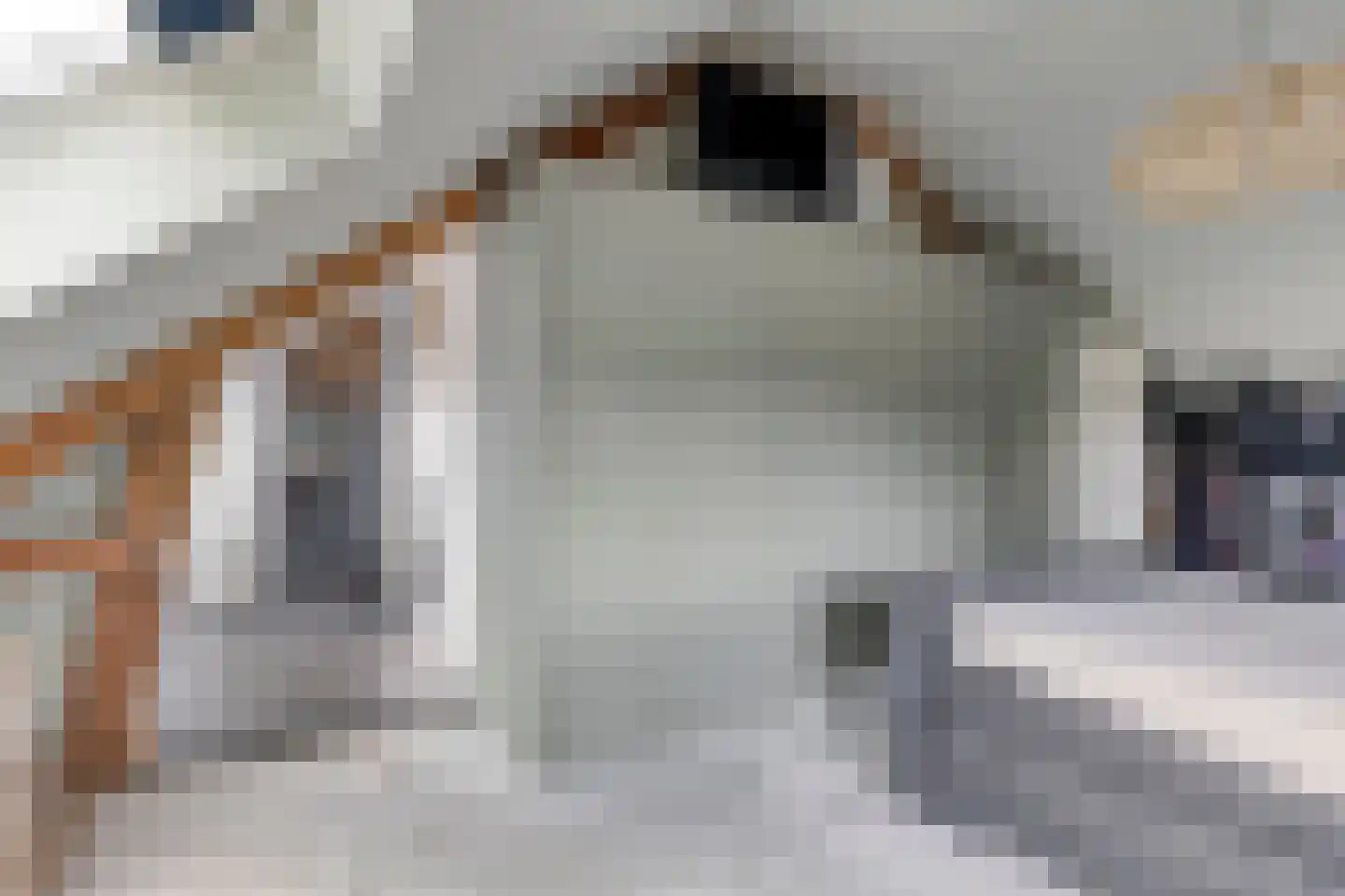 Parksesteeg 4 Overasselt thumbnail 22