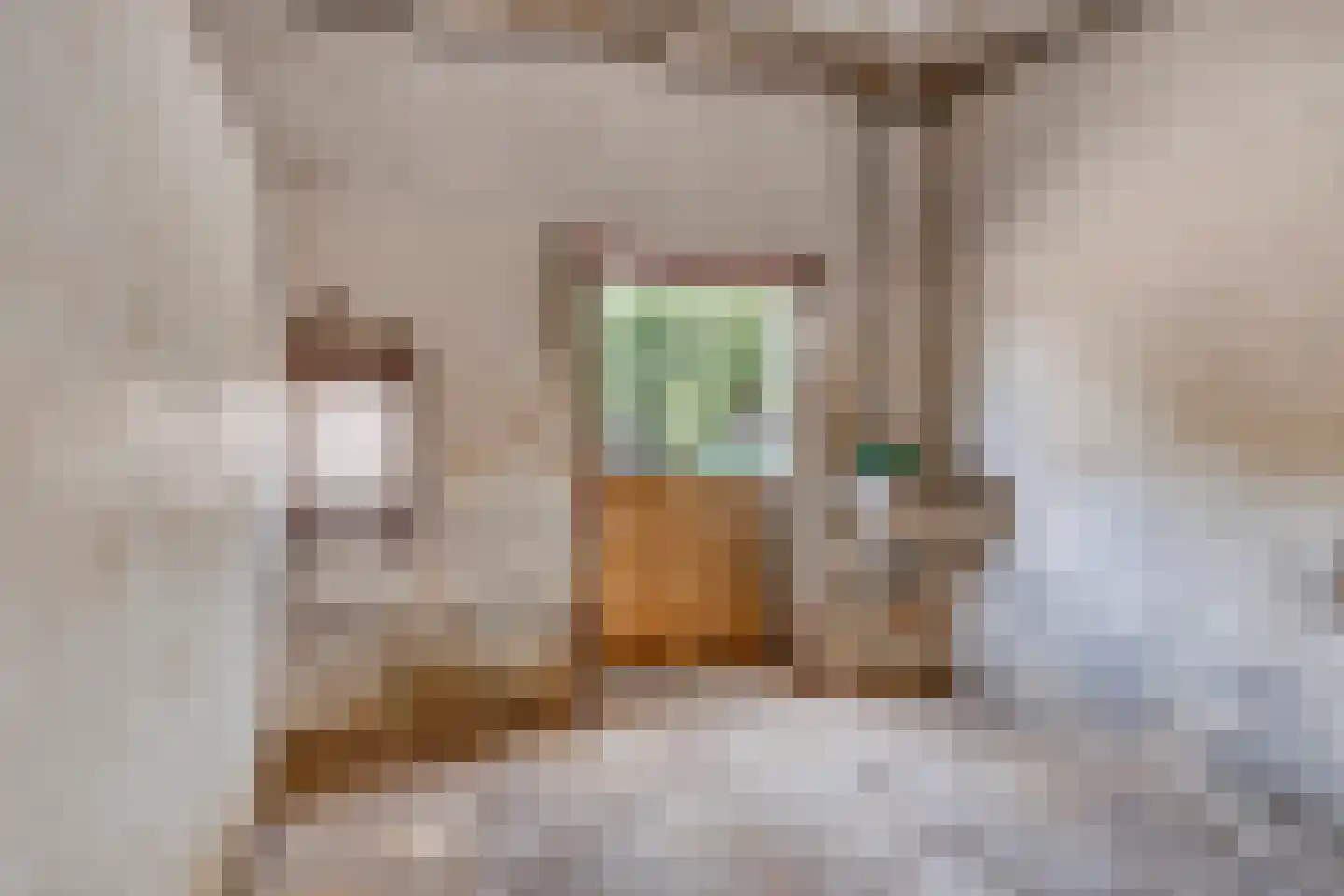 Parksesteeg 4 Overasselt thumbnail 32