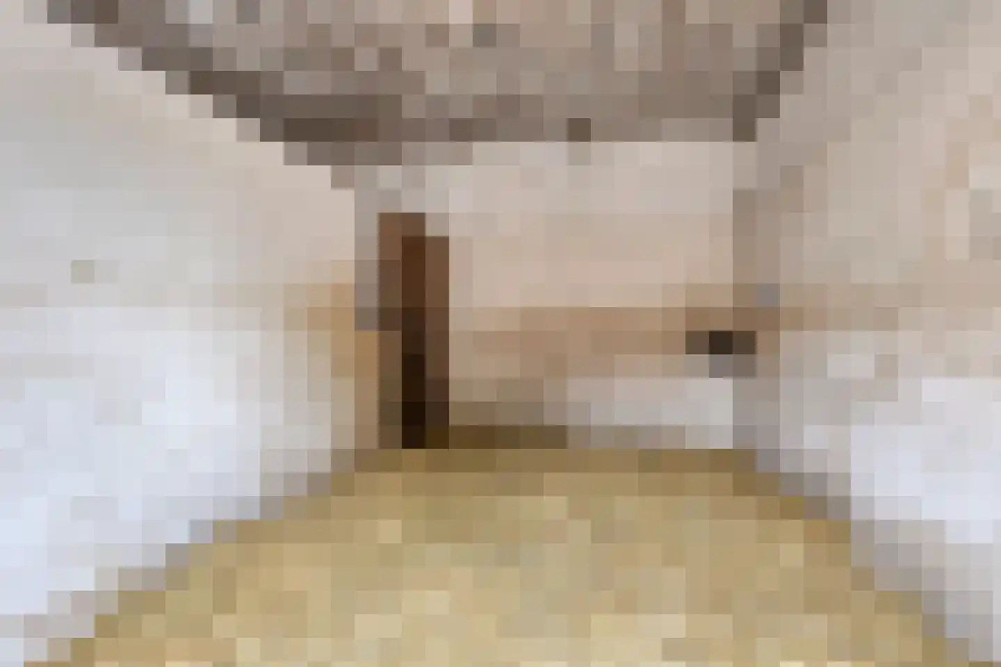 Parksesteeg 4 Overasselt thumbnail 33