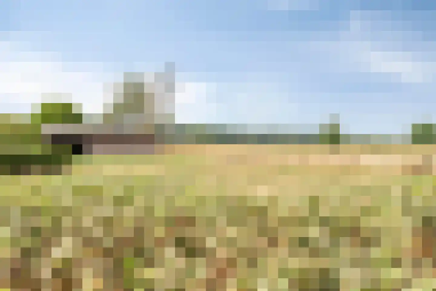 Parksesteeg 4 Overasselt thumbnail 34