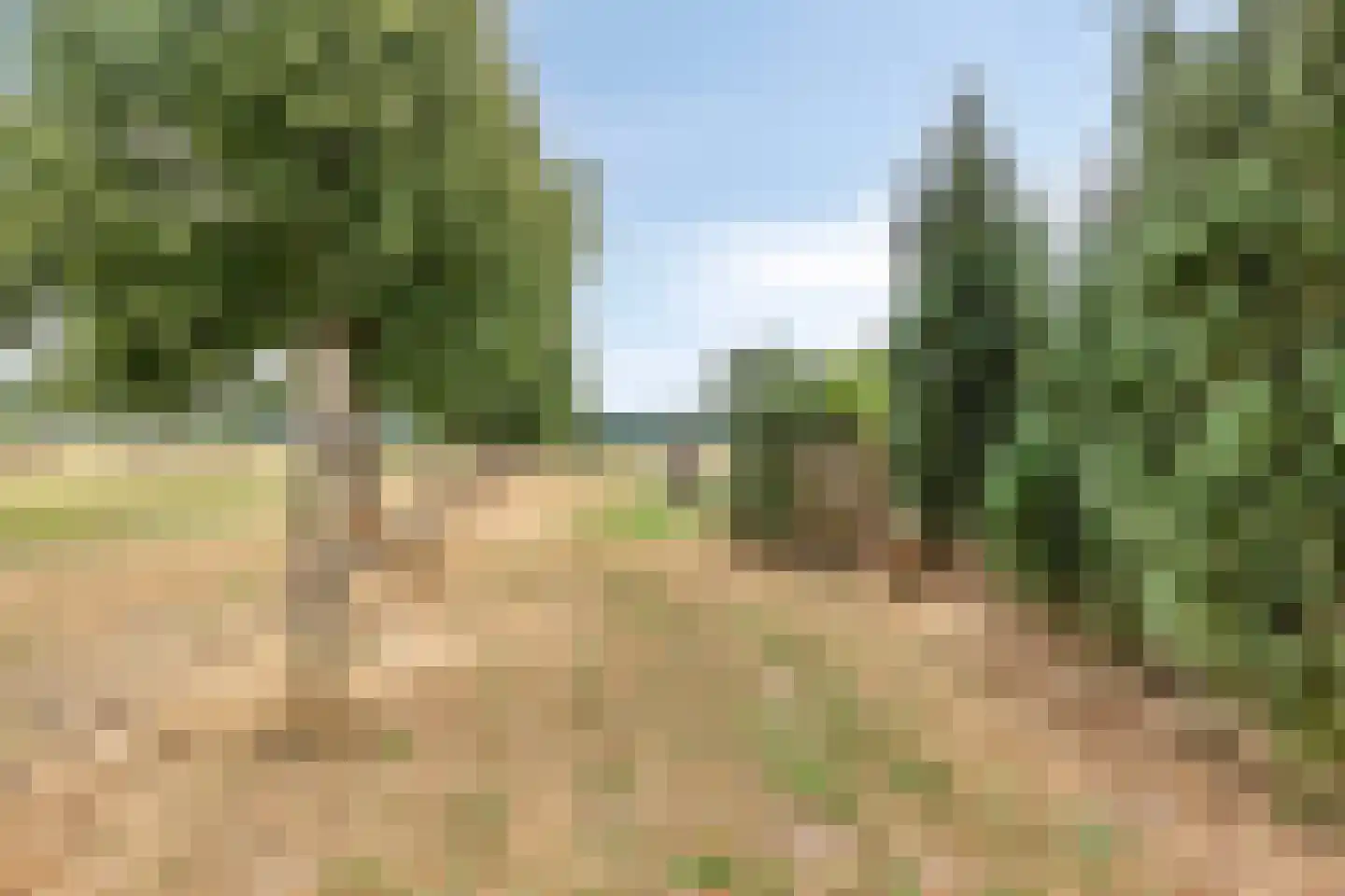 Parksesteeg 4 Overasselt thumbnail 35