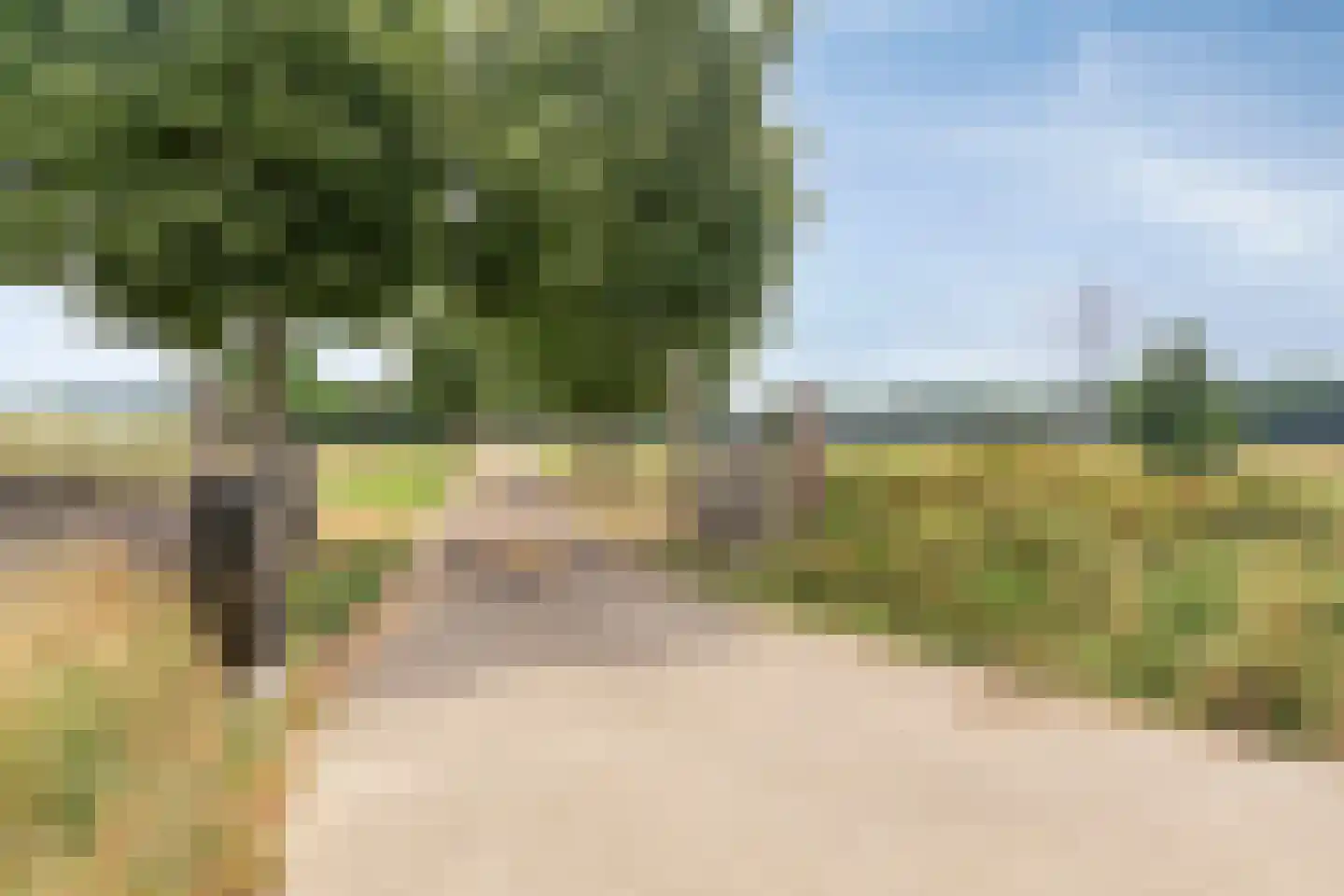 Parksesteeg 4 Overasselt thumbnail 39