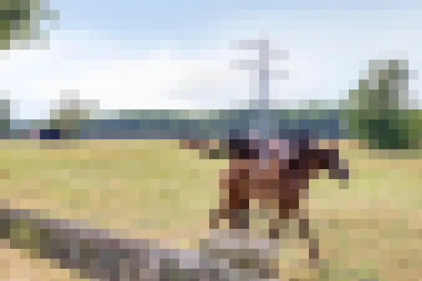Parksesteeg 4 Overasselt thumbnail 40