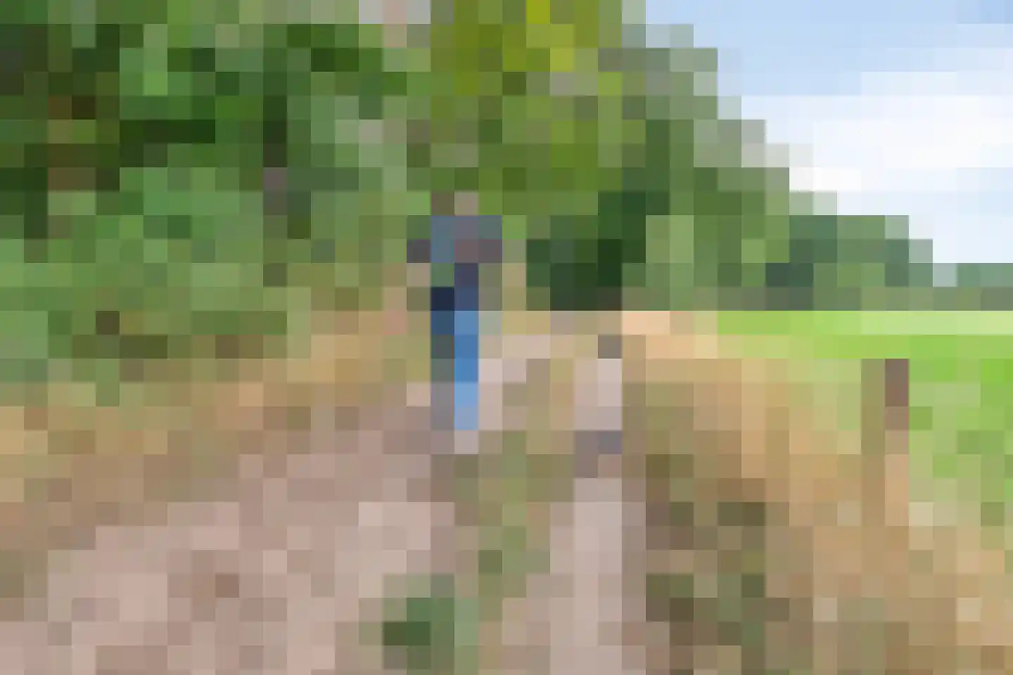 Parksesteeg 4 Overasselt thumbnail 41