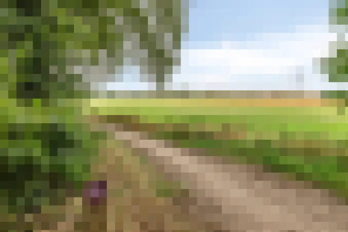 Parksesteeg 4 Overasselt thumbnail 42