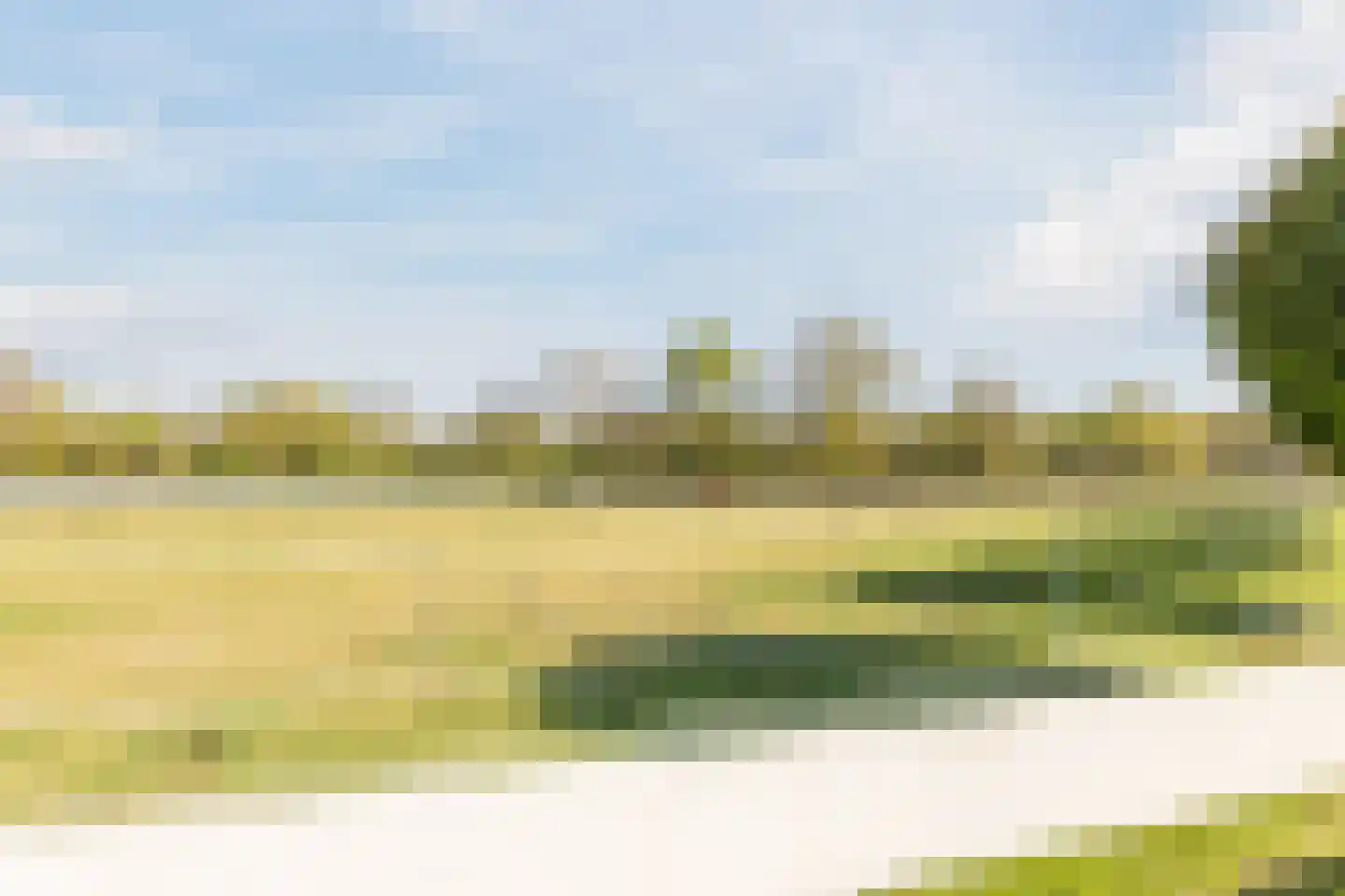 Parksesteeg 9 Overasselt thumbnail 100