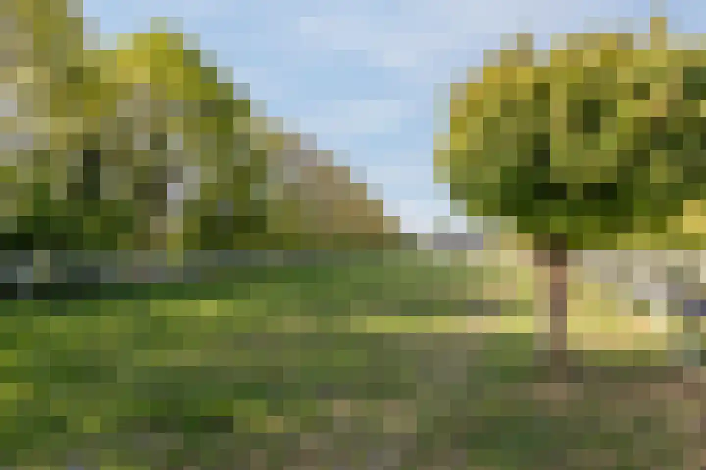 Parksesteeg 9 Overasselt thumbnail 102