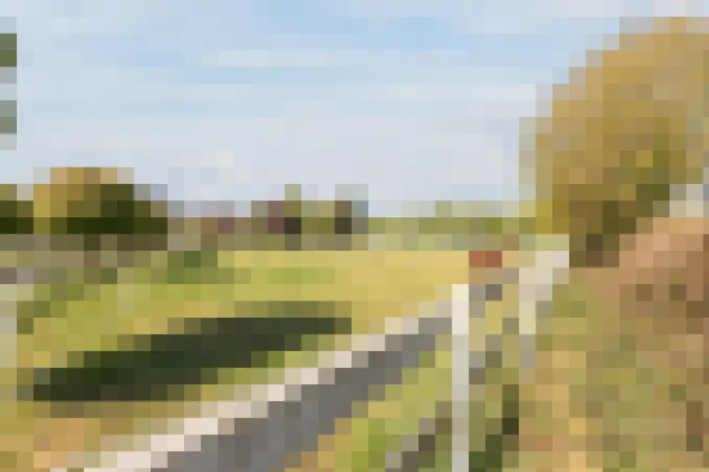 Parksesteeg 9 Overasselt thumbnail 104
