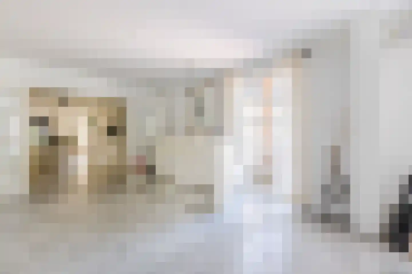Parksesteeg 9 Overasselt thumbnail 17