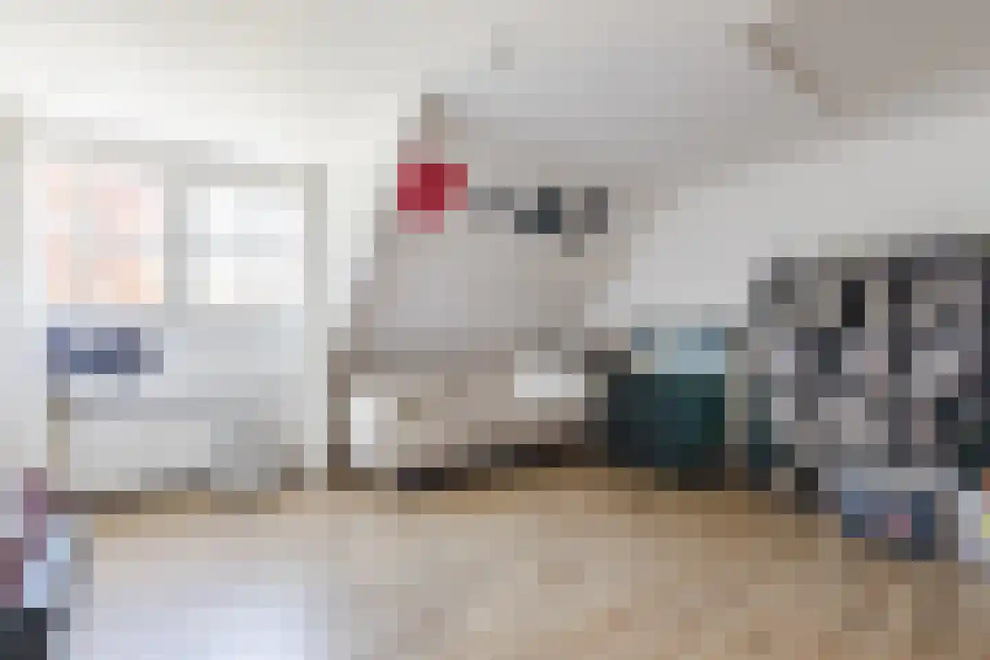 Parksesteeg 9 Overasselt thumbnail 30