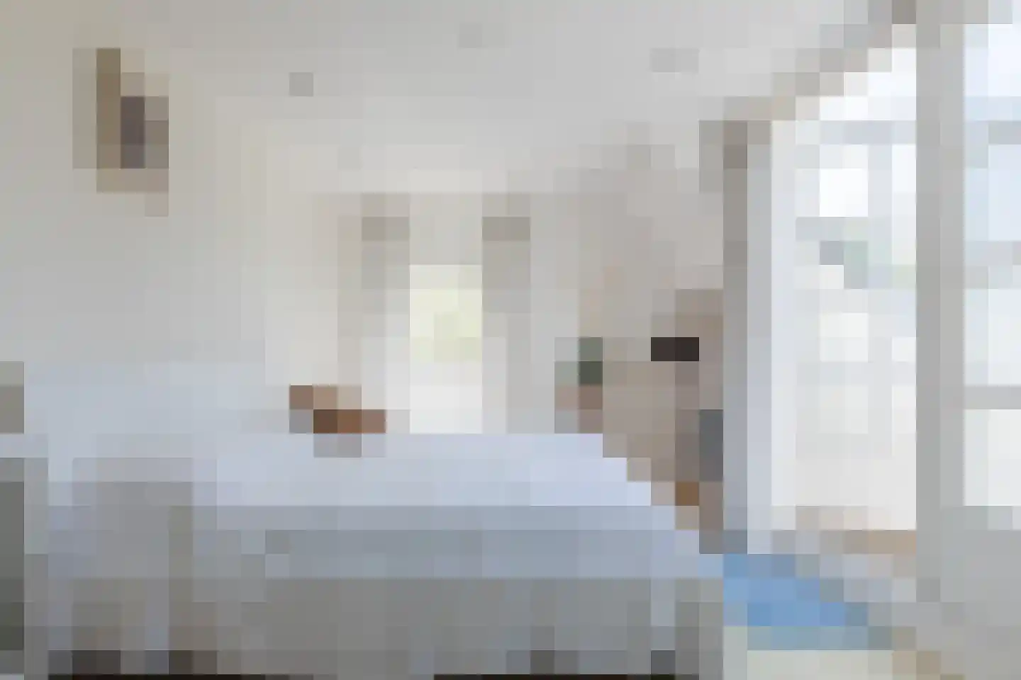 Parksesteeg 9 Overasselt thumbnail 33