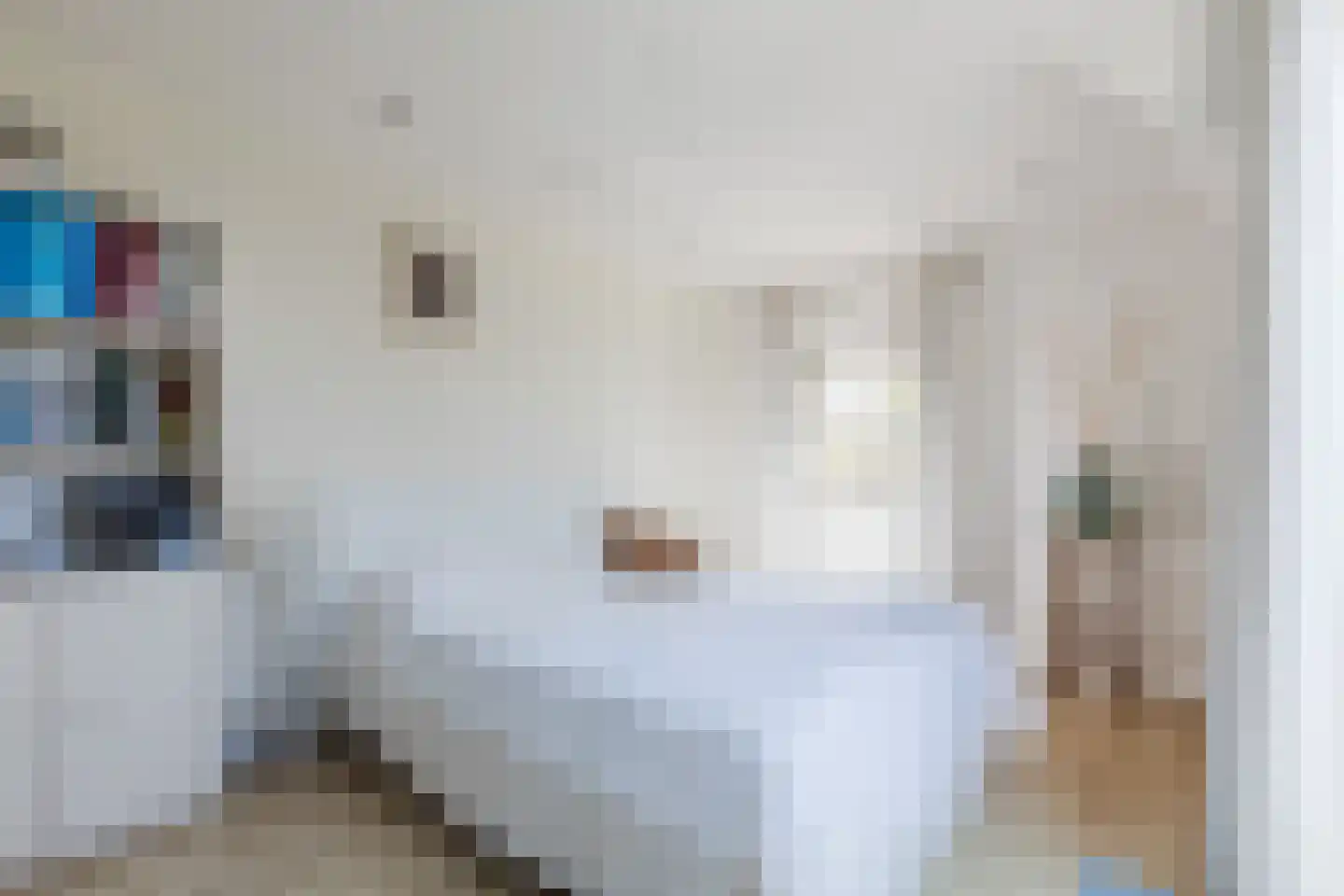 Parksesteeg 9 Overasselt thumbnail 36