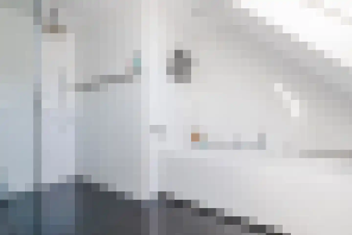 Parksesteeg 9 Overasselt thumbnail 42