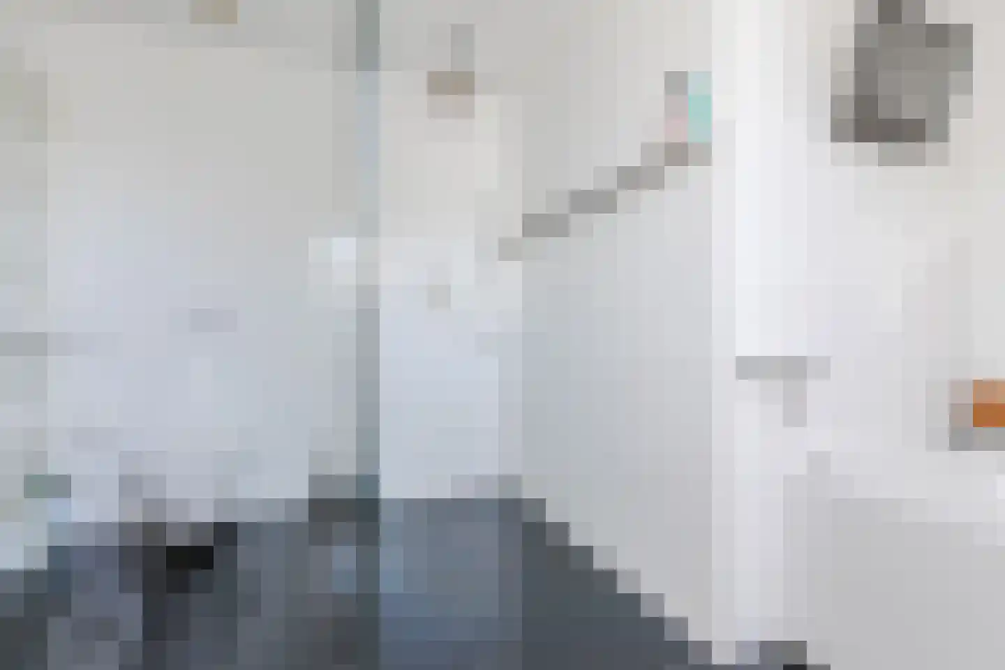 Parksesteeg 9 Overasselt thumbnail 43