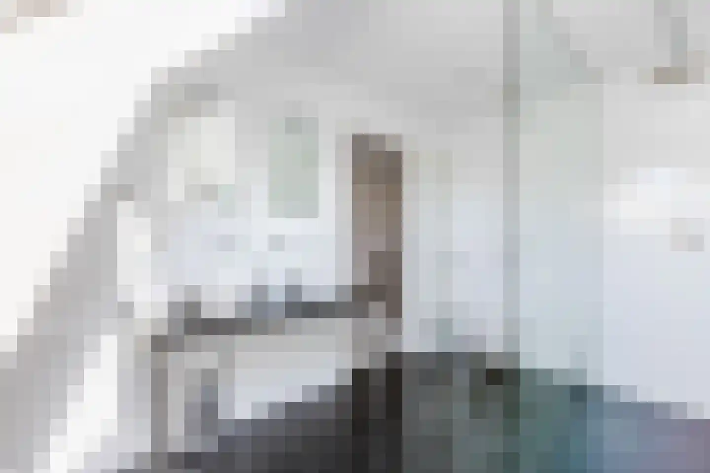 Parksesteeg 9 Overasselt thumbnail 44