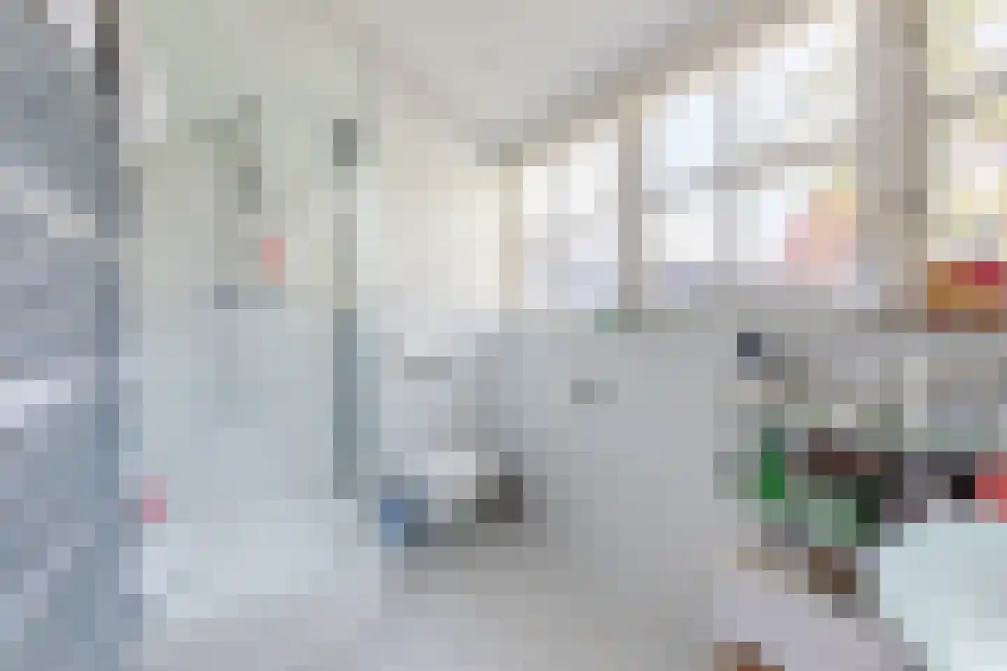 Parksesteeg 9 Overasselt thumbnail 45