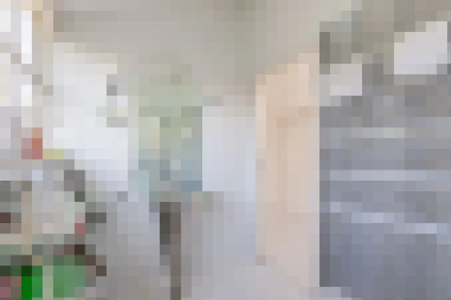 Parksesteeg 9 Overasselt thumbnail 46