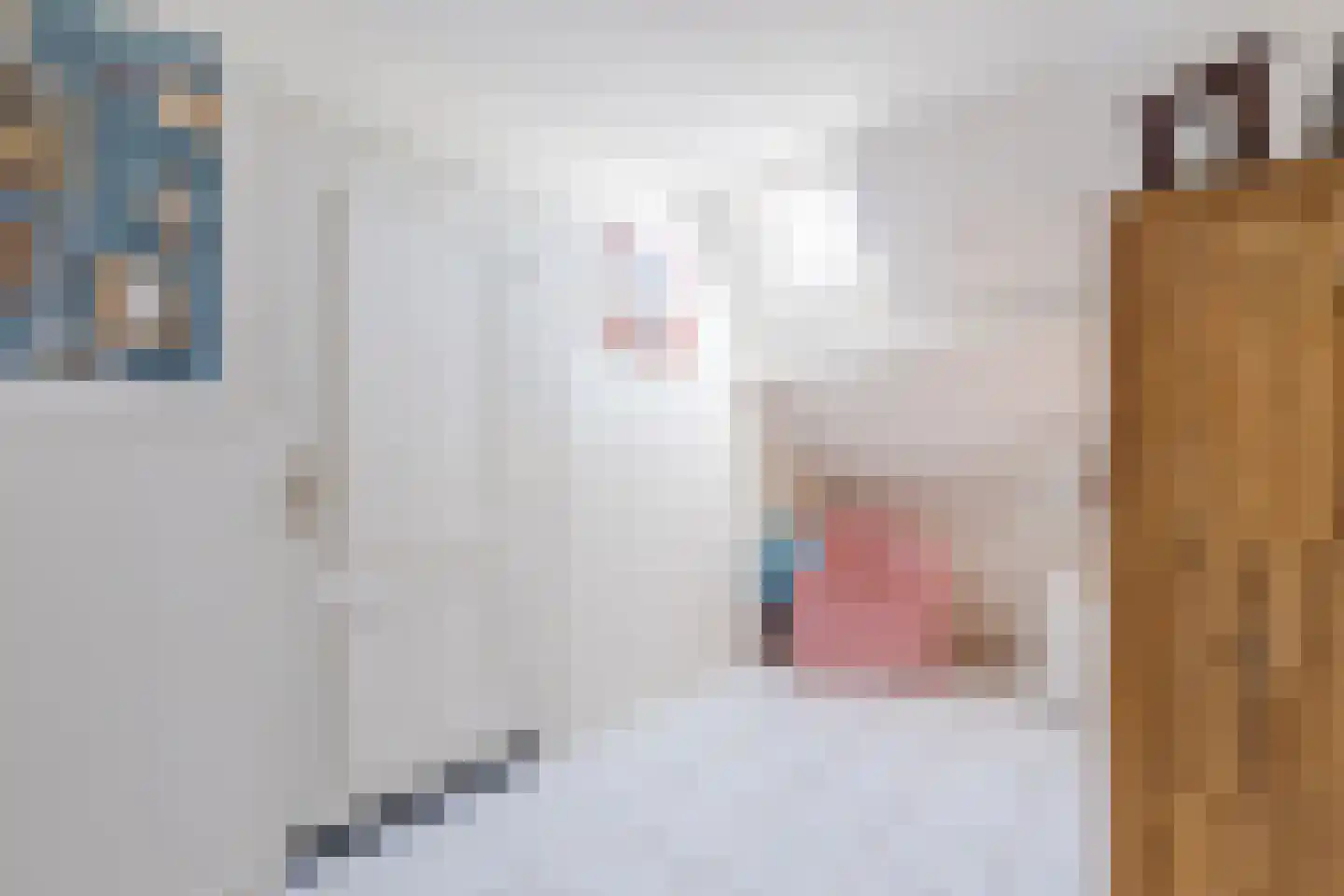 Parksesteeg 9 Overasselt thumbnail 51
