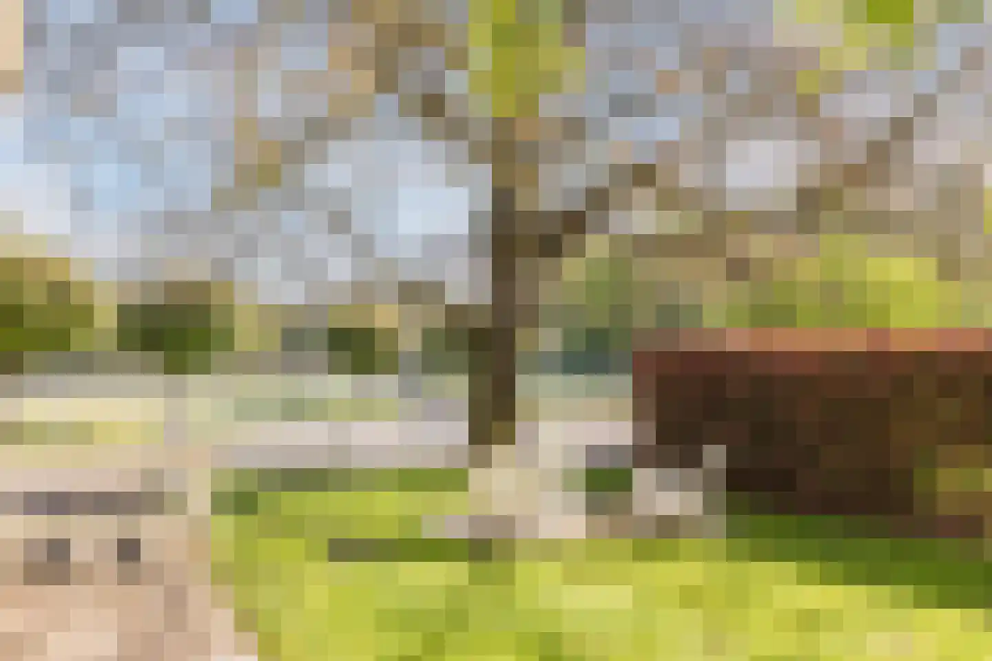 Parksesteeg 9 Overasselt thumbnail 56