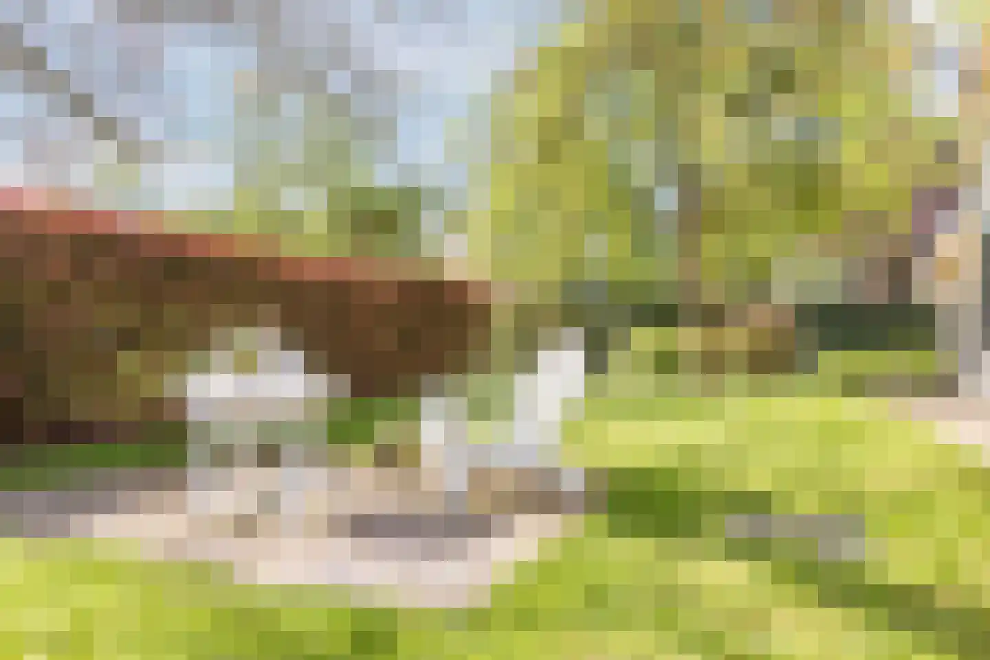 Parksesteeg 9 Overasselt thumbnail 57