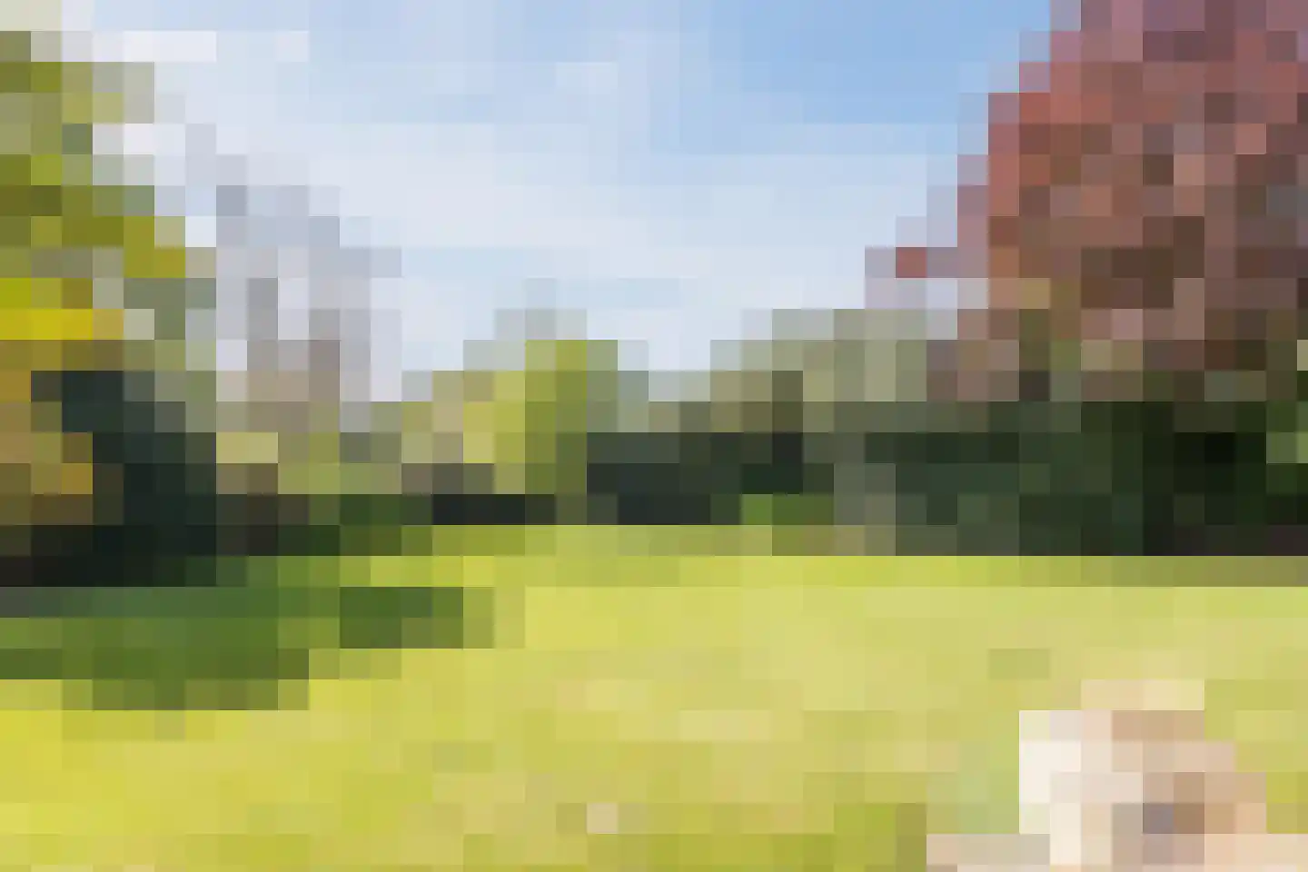 Parksesteeg 9 Overasselt thumbnail 58