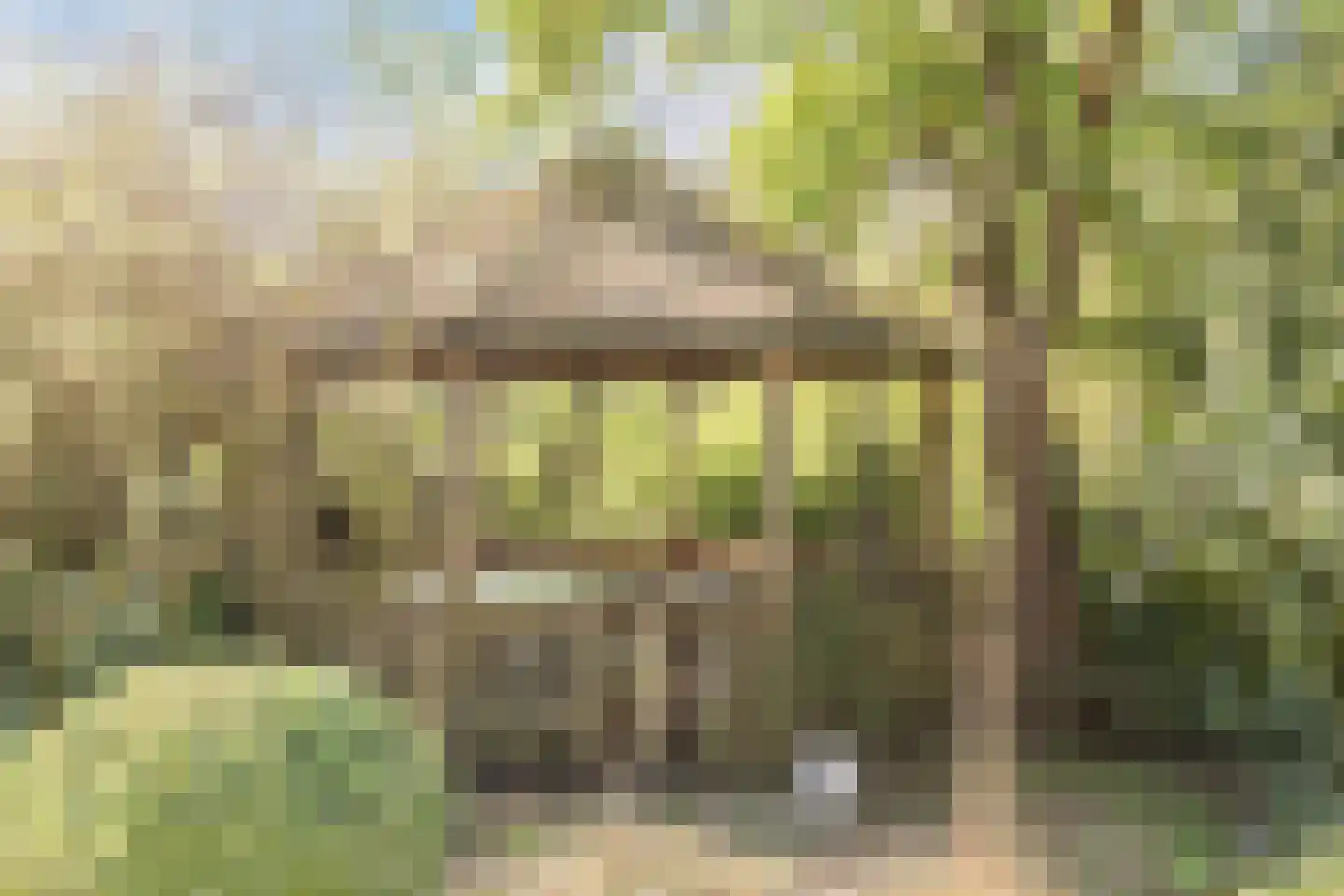 Parksesteeg 9 Overasselt thumbnail 59
