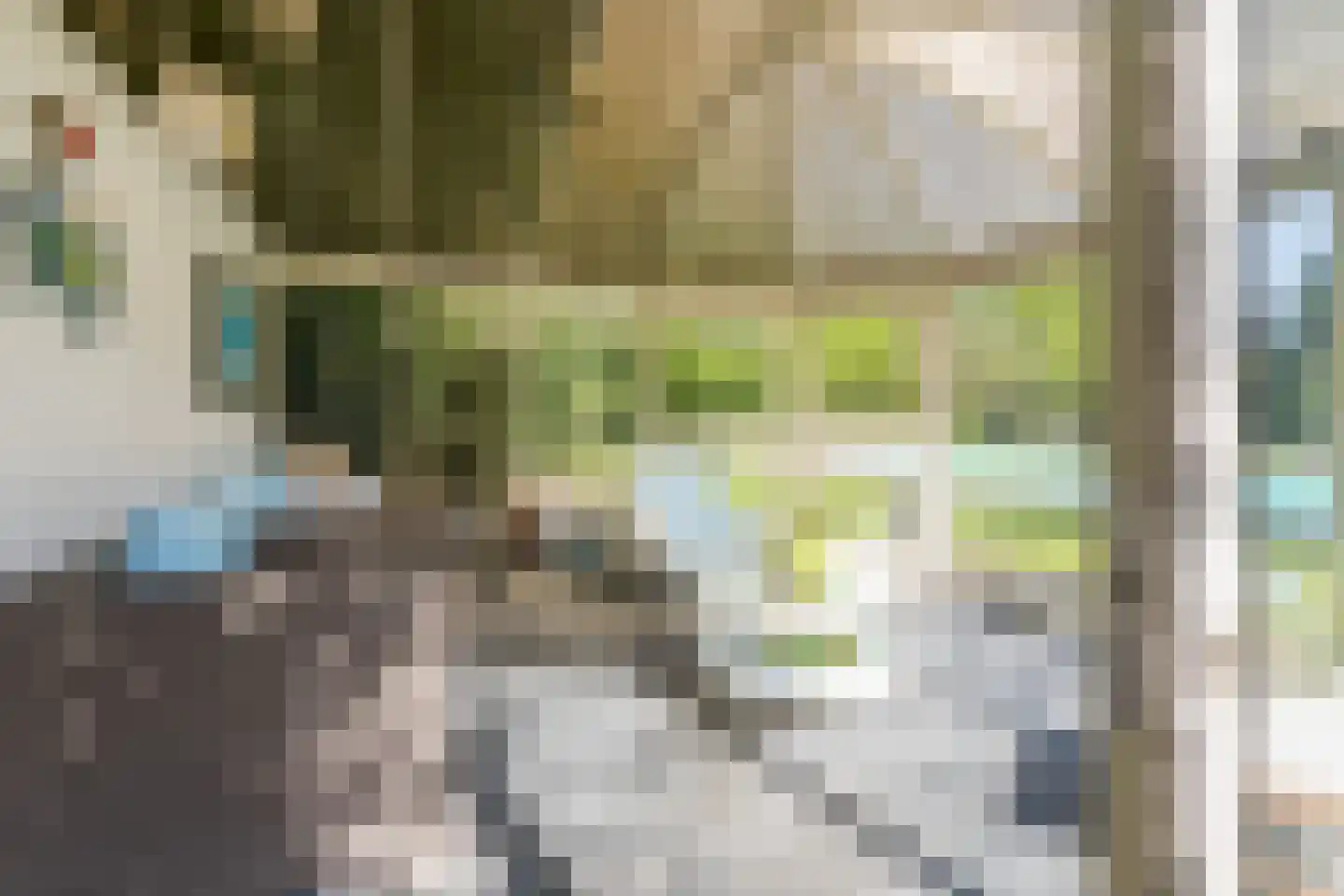 Parksesteeg 9 Overasselt thumbnail 61