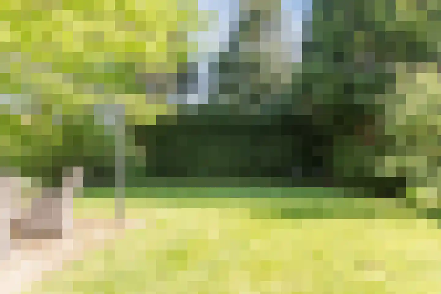 Parksesteeg 9 Overasselt thumbnail 67