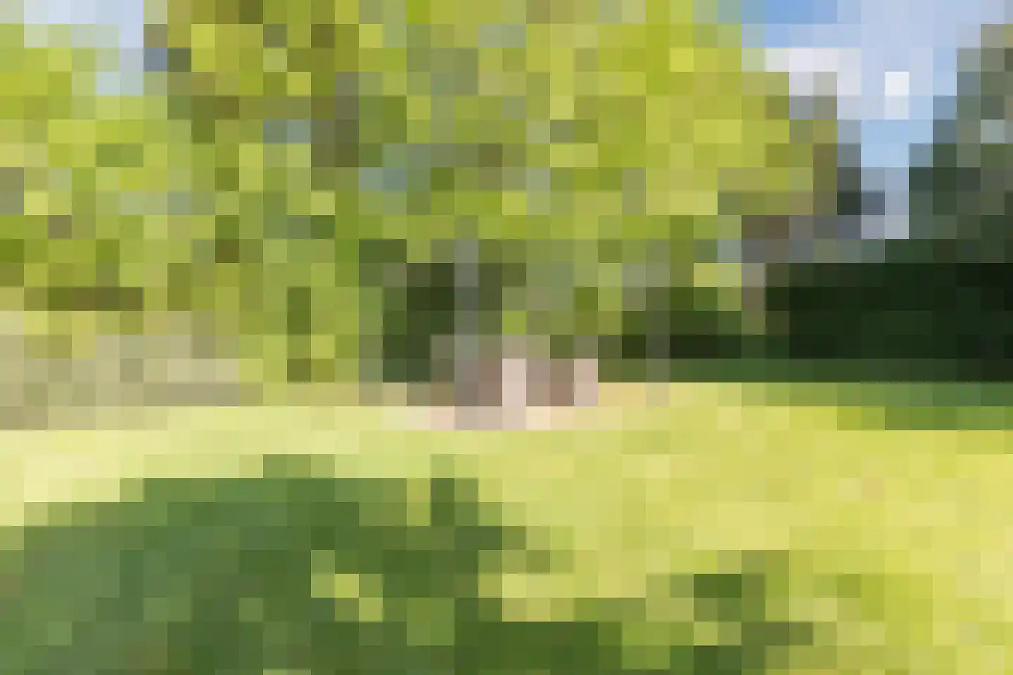 Parksesteeg 9 Overasselt thumbnail 68