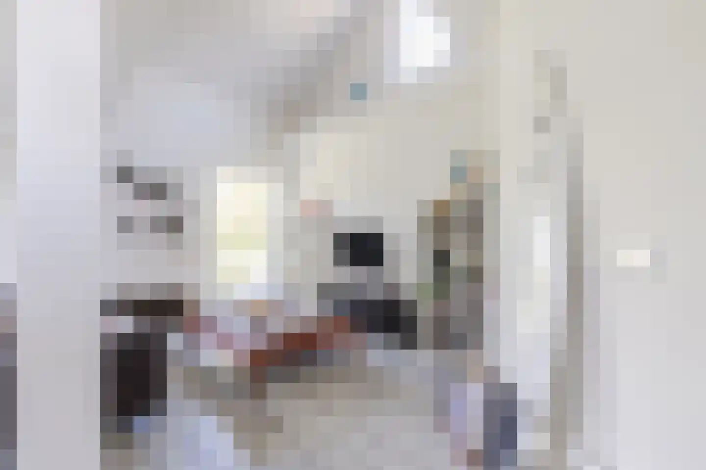 Parksesteeg 9 Overasselt thumbnail 78