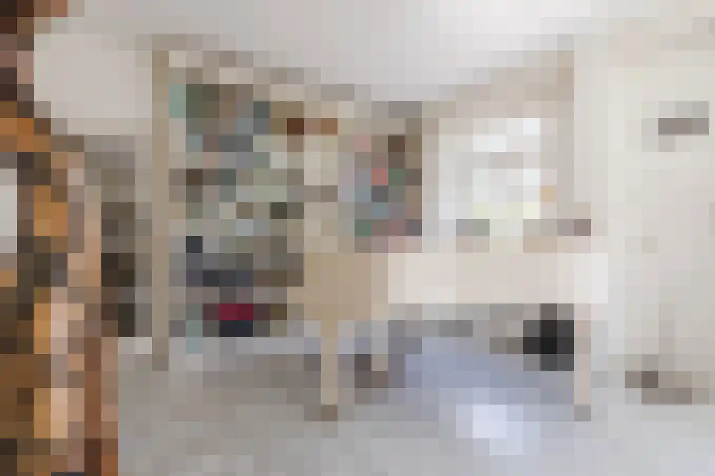 Parksesteeg 9 Overasselt thumbnail 8