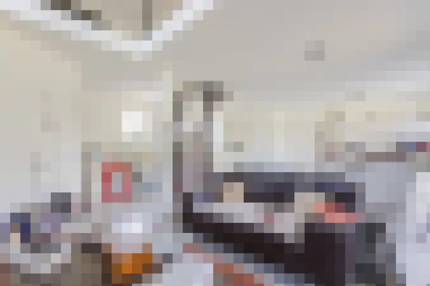 Parksesteeg 9 Overasselt thumbnail 80