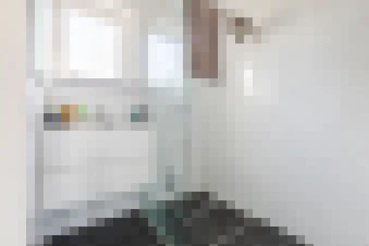 Parksesteeg 9 Overasselt thumbnail 85