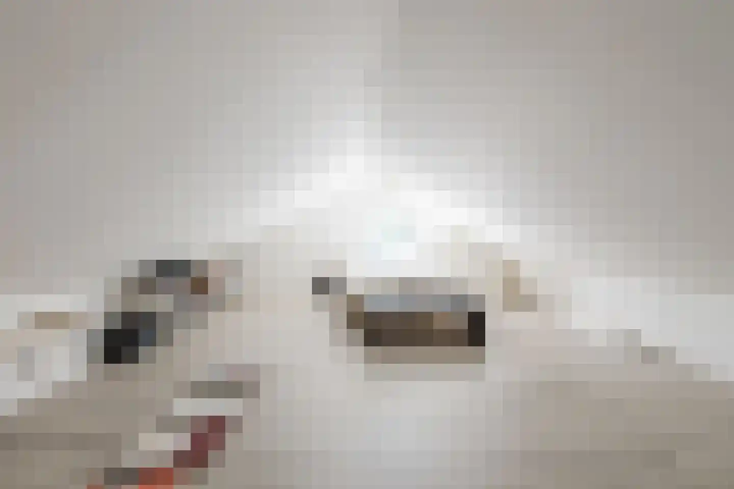 Parksesteeg 9 Overasselt thumbnail 87