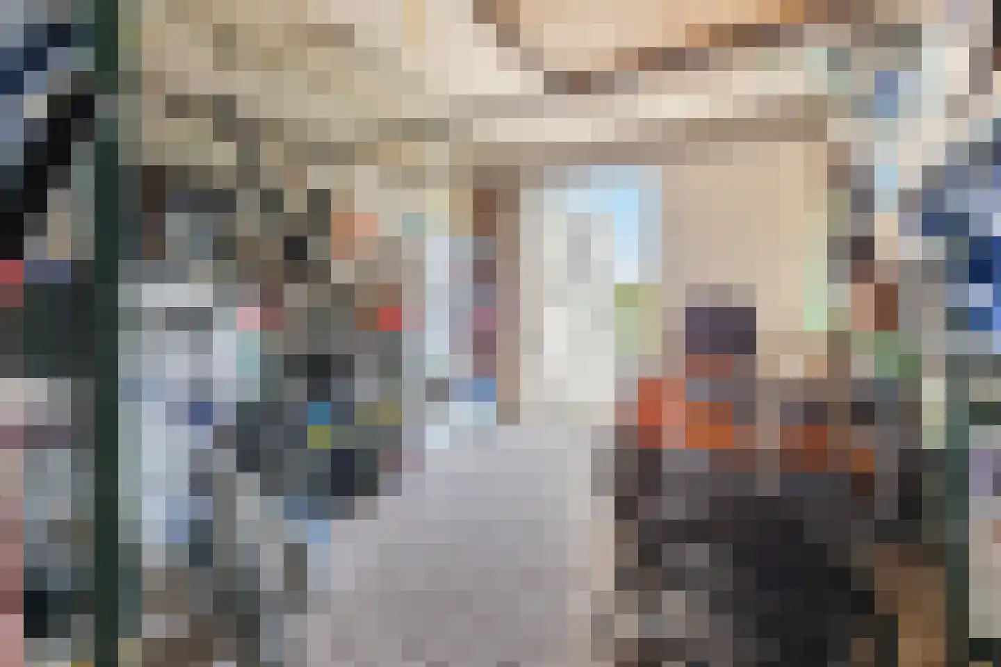 Parksesteeg 9 Overasselt thumbnail 91
