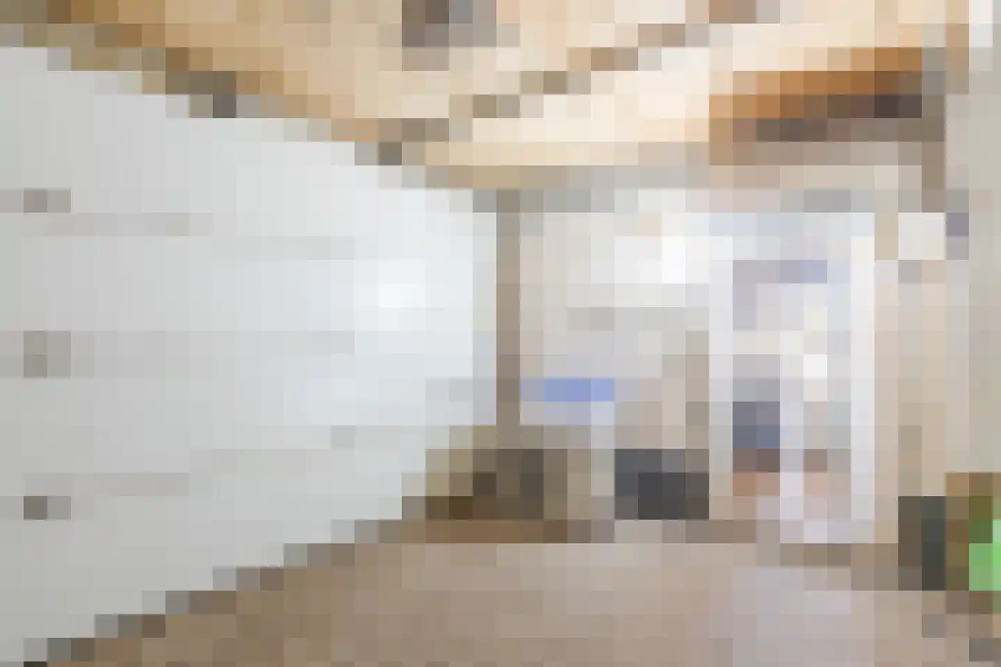 Parksesteeg 9 Overasselt thumbnail 93