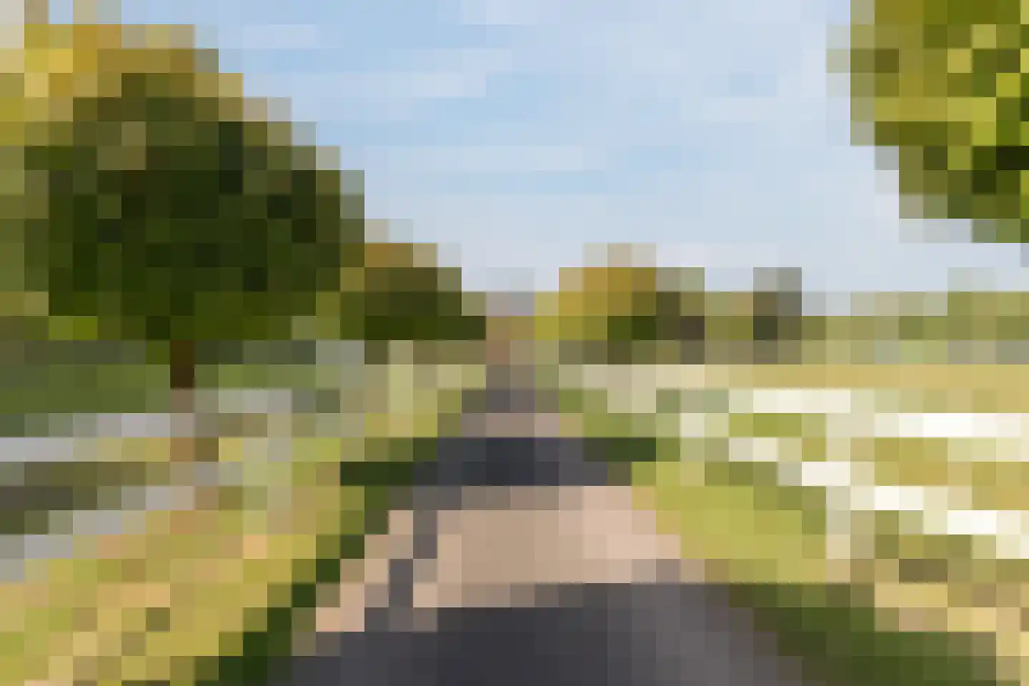 Parksesteeg 9 Overasselt thumbnail 98