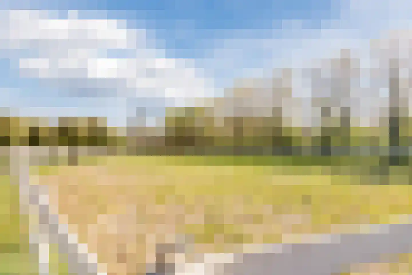 Parksesteeg 9 Overasselt thumbnail 99