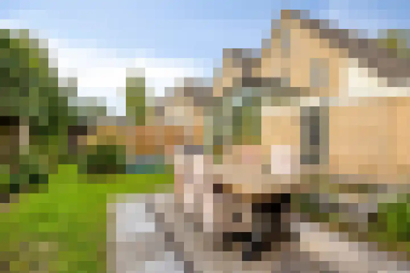 Parksingel 126 Biddinghuizen thumbnail 54