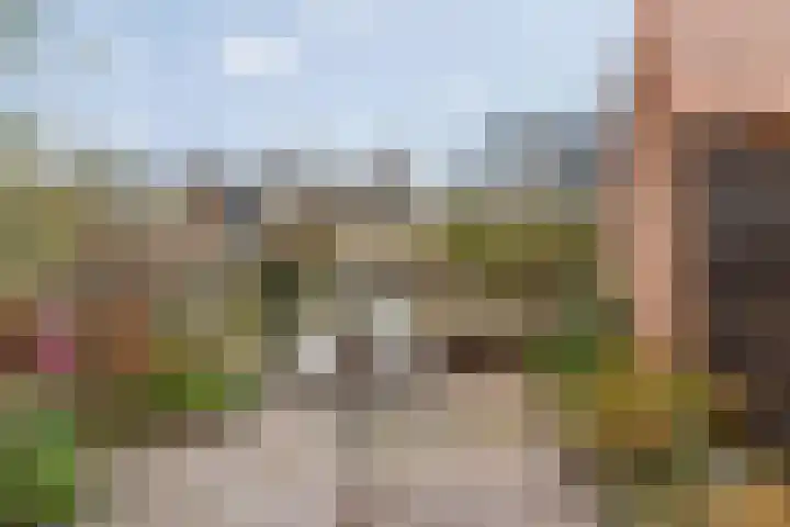 Parksingel 16 Tholen thumbnail 27
