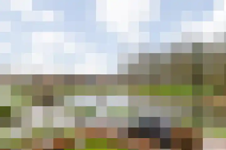 Parksingel 16 Tholen thumbnail 29