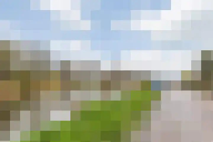 Parksingel 16 Tholen thumbnail 30