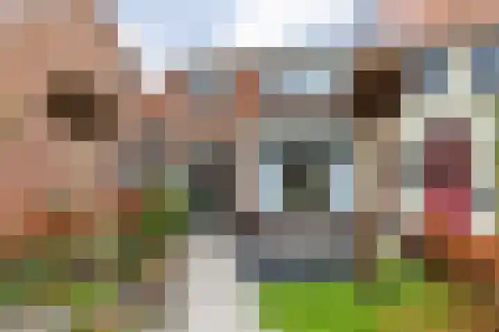 Parksingel 16 Tholen thumbnail 8