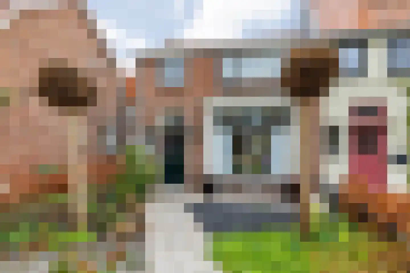 Parksingel 16 Tholen thumbnail 8
