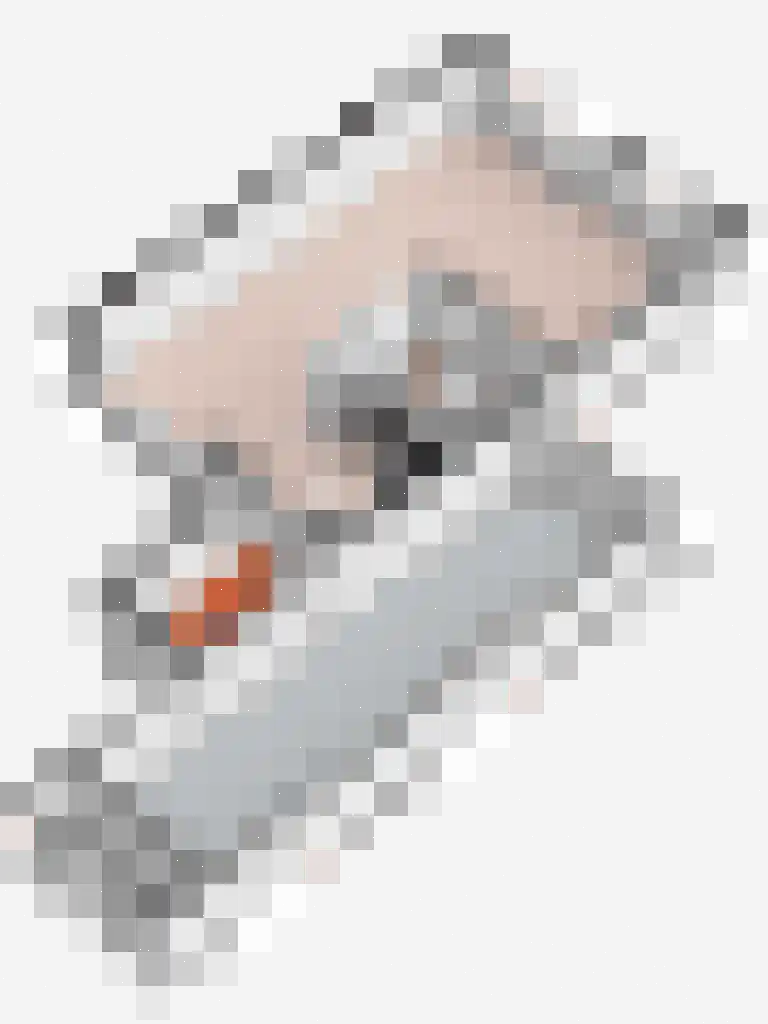 Parksingel 21 Biddinghuizen thumbnail 37