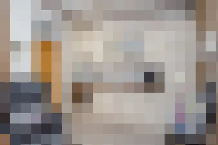 Parksingel 24 Tholen thumbnail 12