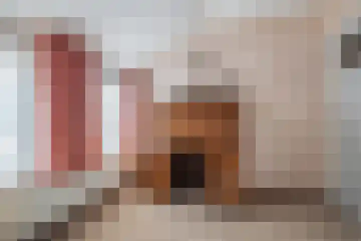 Parksingel 24 Tholen thumbnail 23